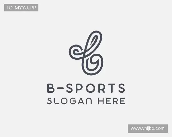 了解b–sports