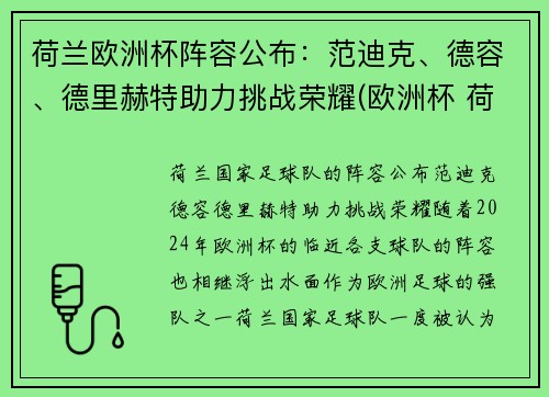 荷兰欧洲杯阵容公布：范迪克、德容、德里赫特助力挑战荣耀(欧洲杯 荷兰队阵容)